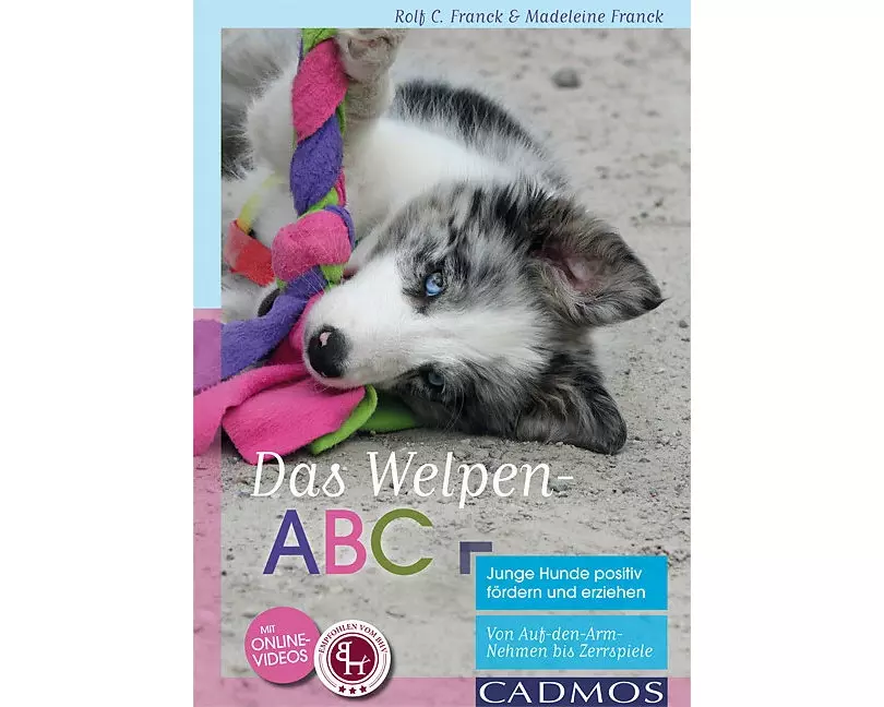Das Welpen-ABC Junge Hunde positiv fördern und erziehen