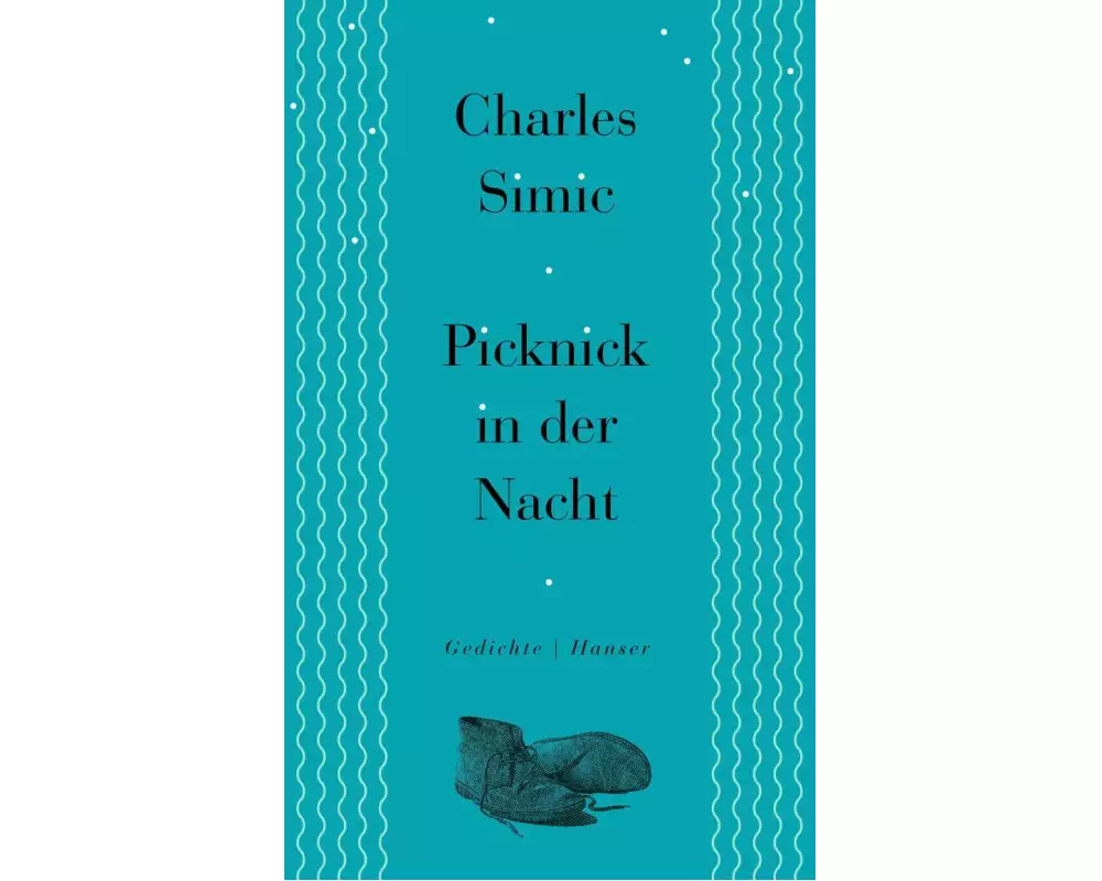 Picknick in der Nacht