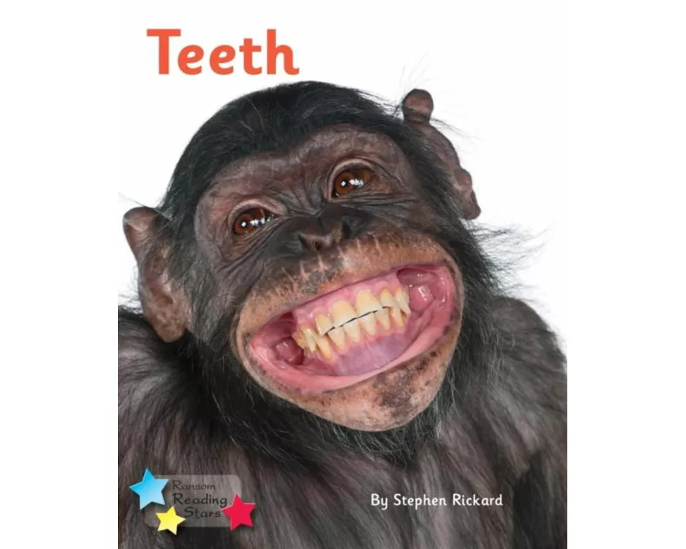 Teeth