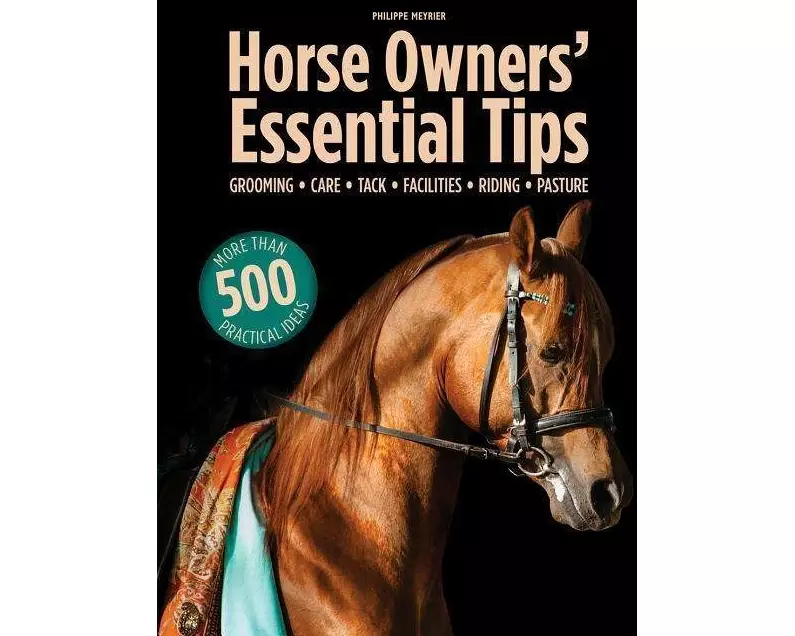 Horse Owners' Essential Tips