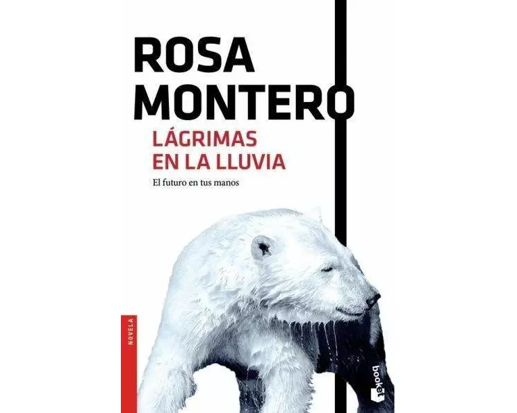 Lágrimas en la lluvia