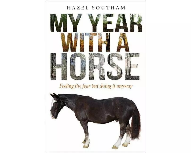 My Year with a Horse