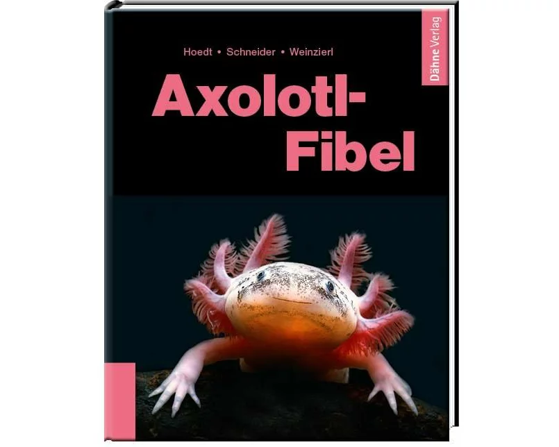 Axolotl-Fibel