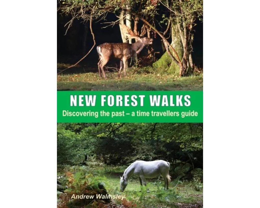 New Forest Walks