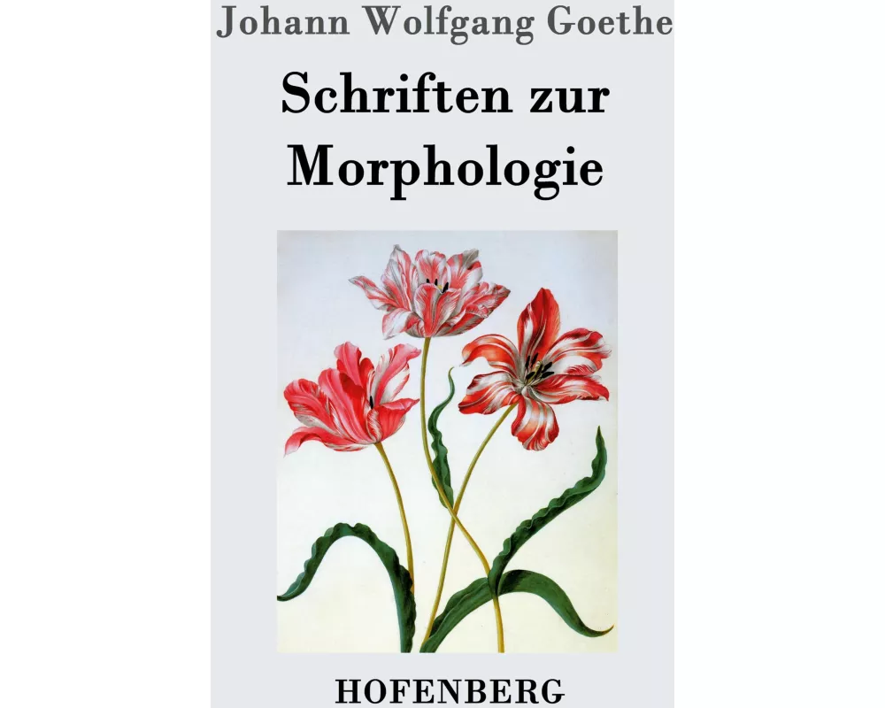 Schriften zur Morphologie