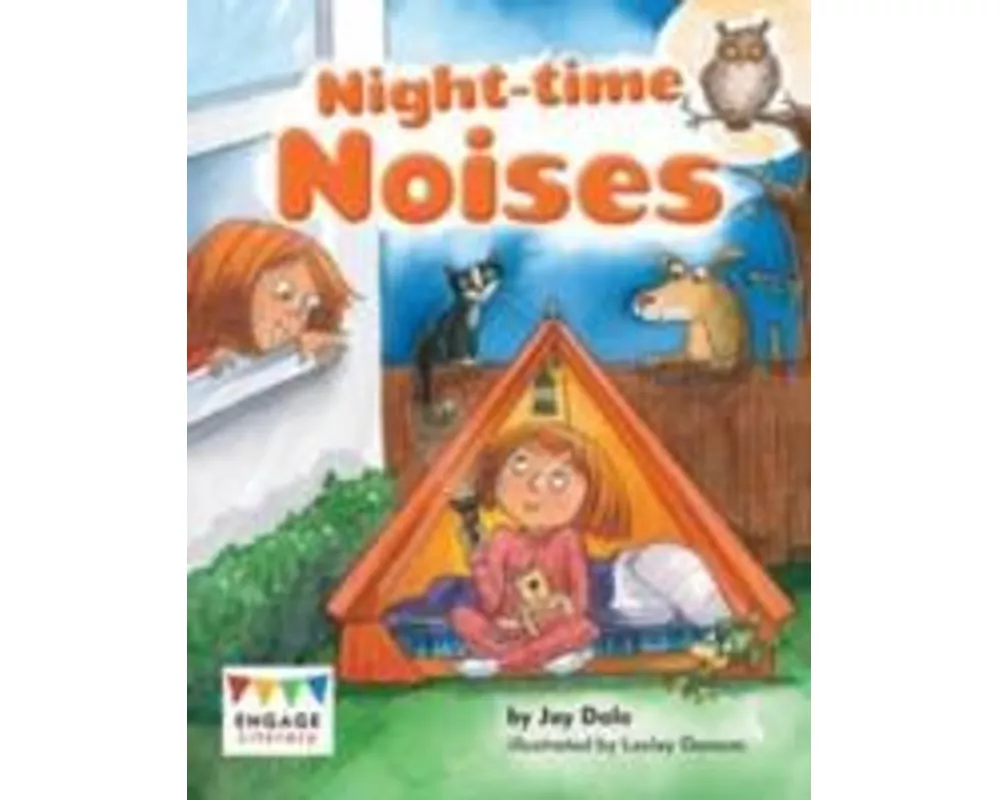 Night-Time Noises