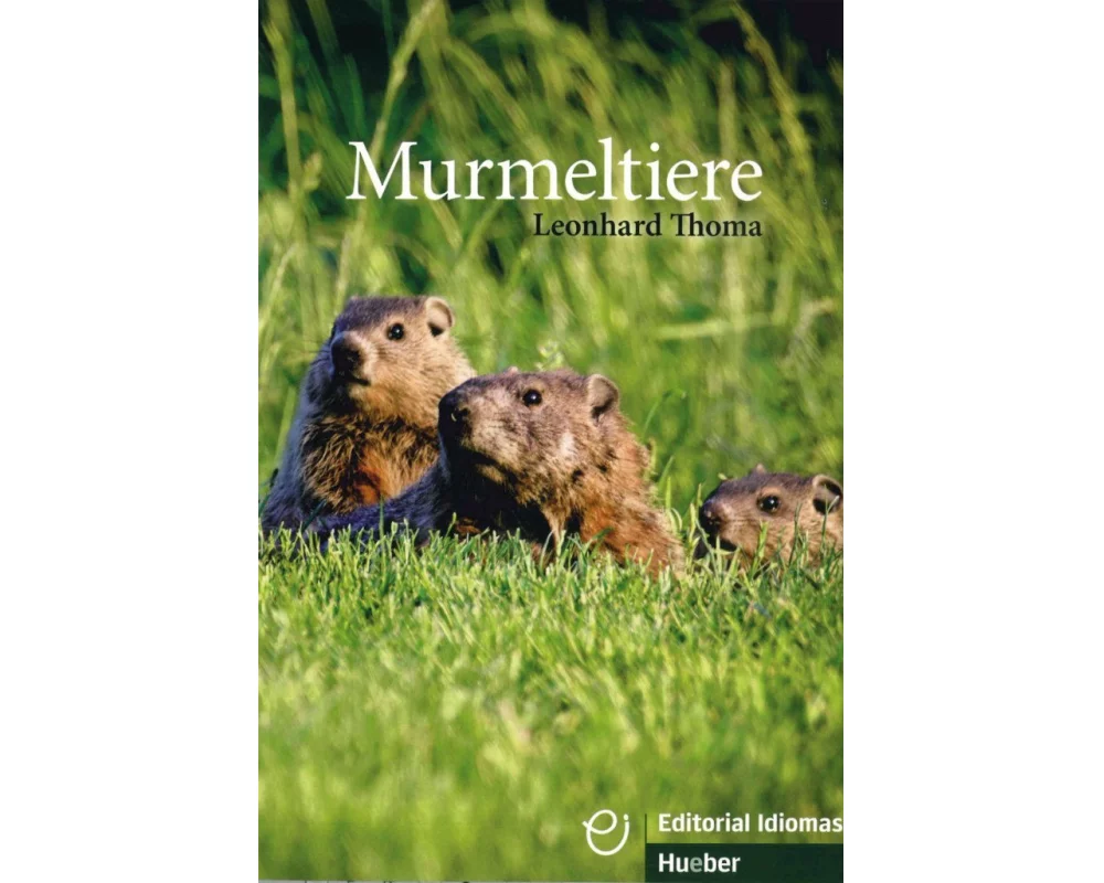 Murmeltiere