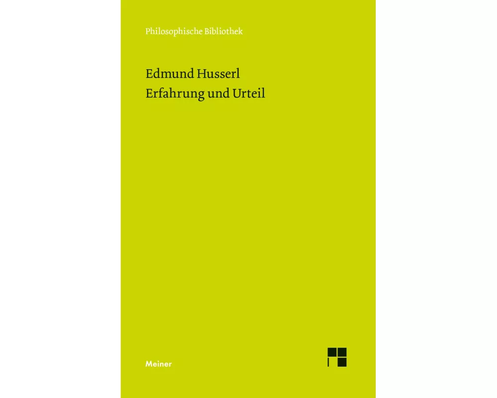 Erfahrung und Urteil