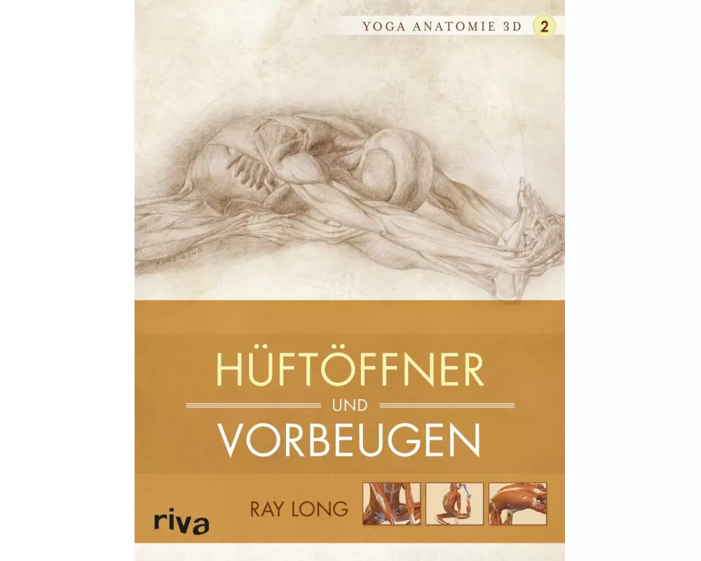 Yoga-Anatomie 3D