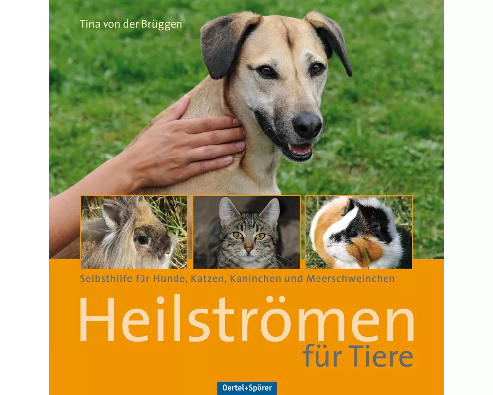 Heilströmen für Tiere