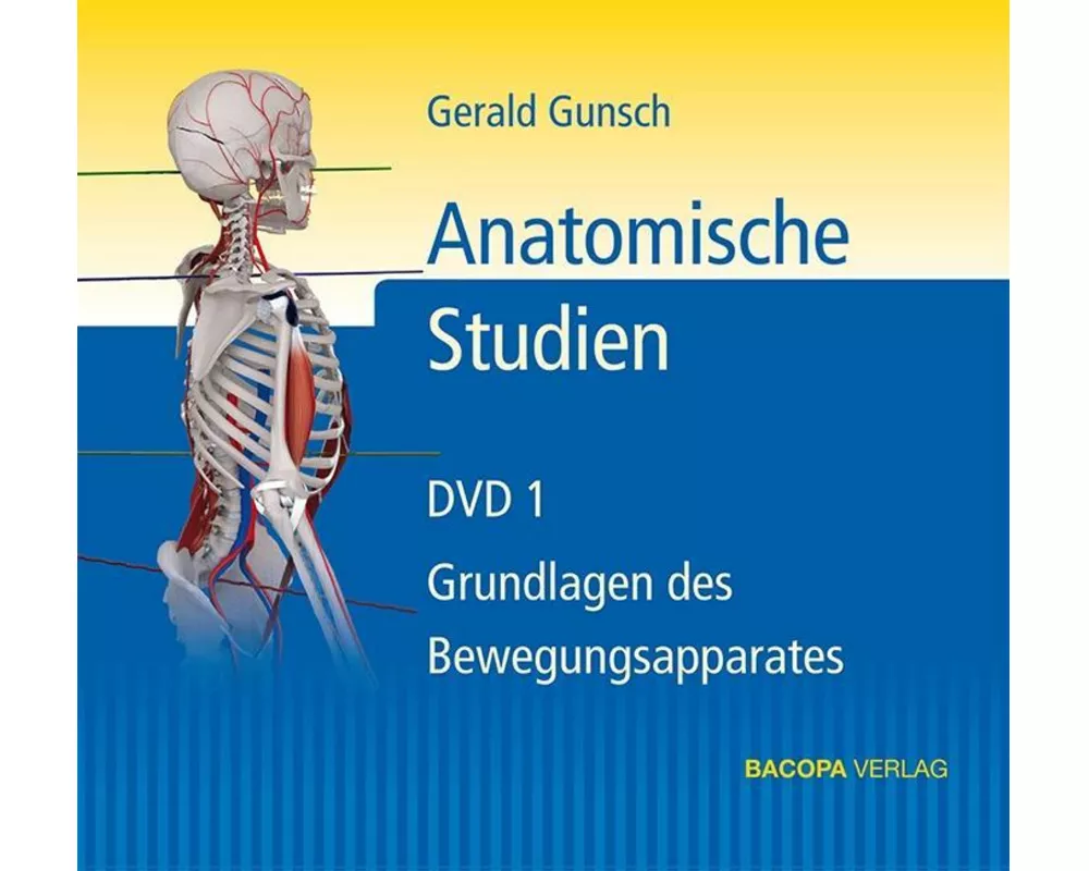 Anatomische Studien