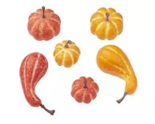 HobbyFun Mini-Lebensmittel Kürbisse 2.5 - 5 cm, 12 Stück, assortiert