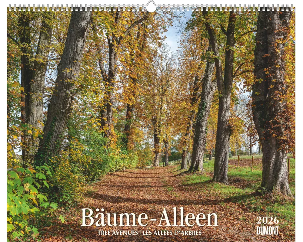 DUMONT - Bäume – Alleen 2026 – Wandkalender 52 x 43 cm, Naturkalender mit Spiralbindung und Feiertagen für D/A/CH
