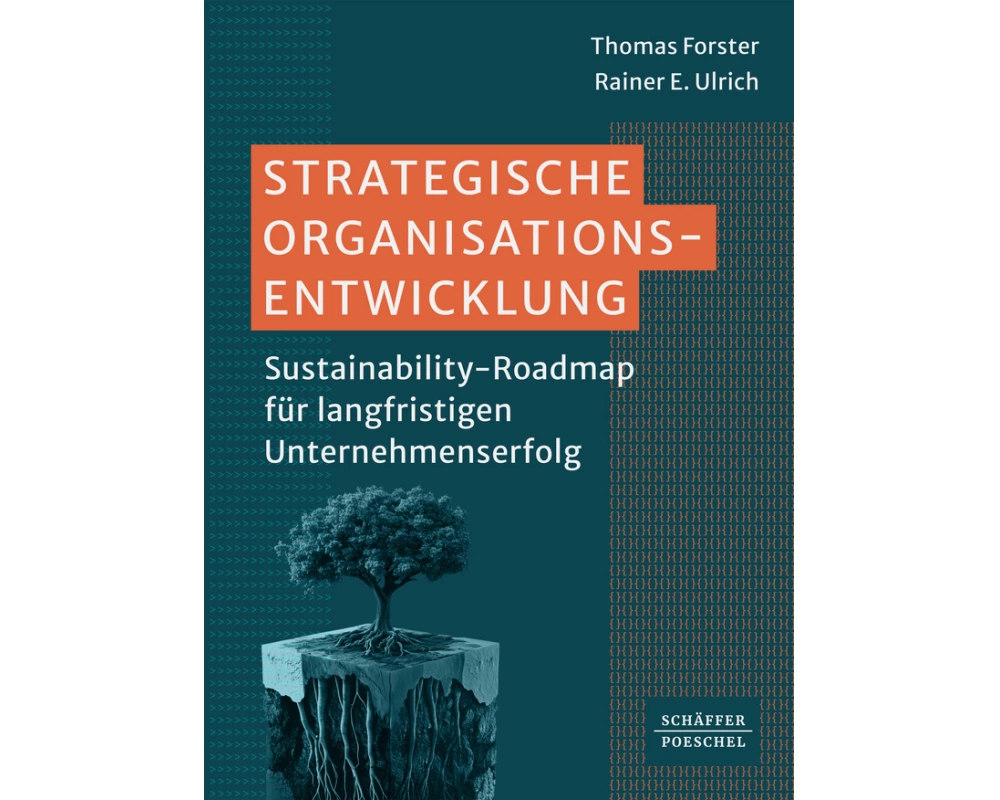 Strategische Organisationsentwicklung