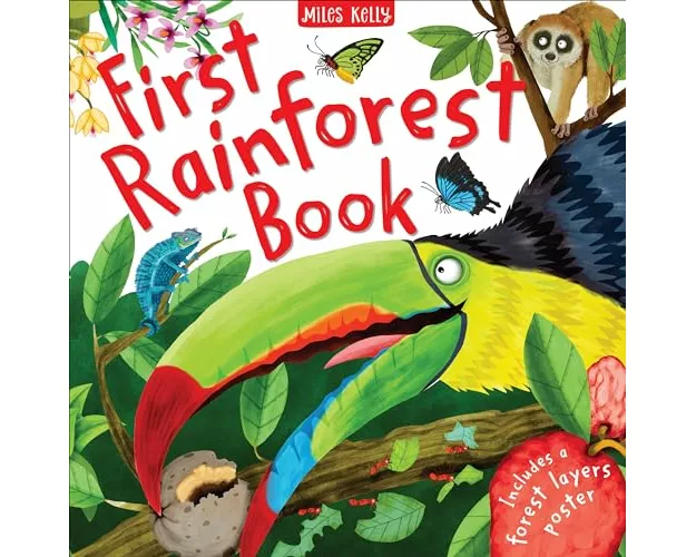 First Rainforest Book
