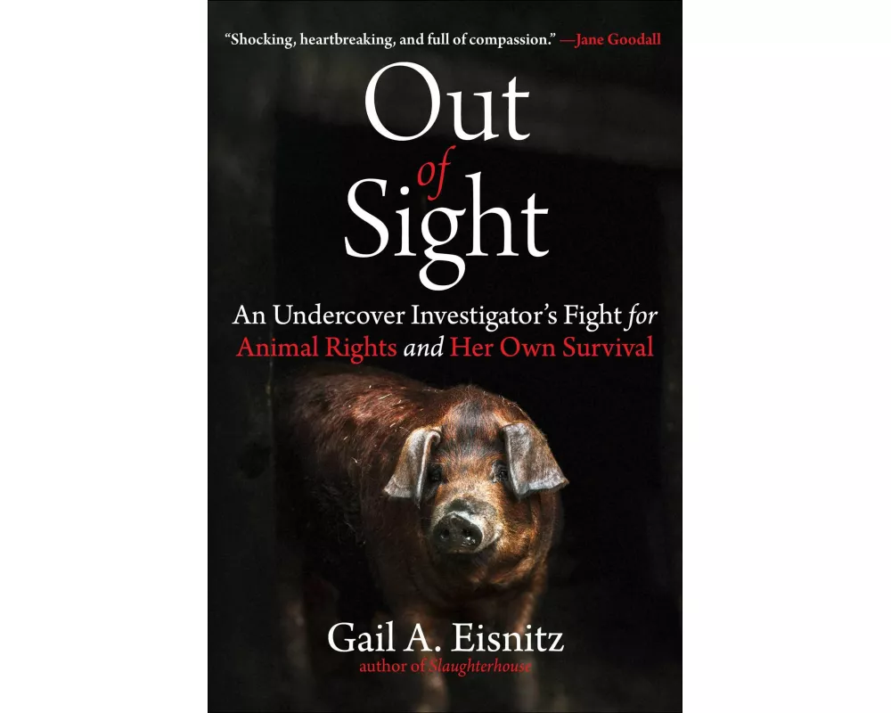 Out of Sight