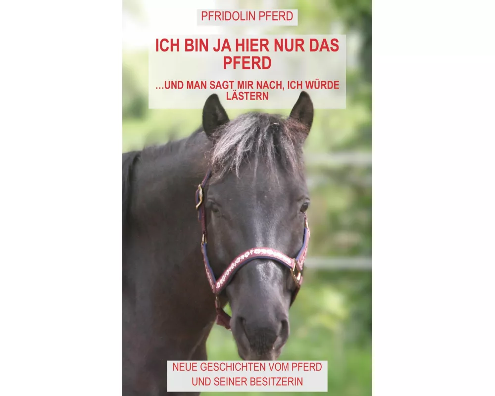 Ich bin ja hier nur das Pferd