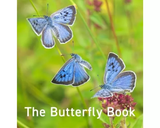 Nature Book Series: The Butterfly Book
