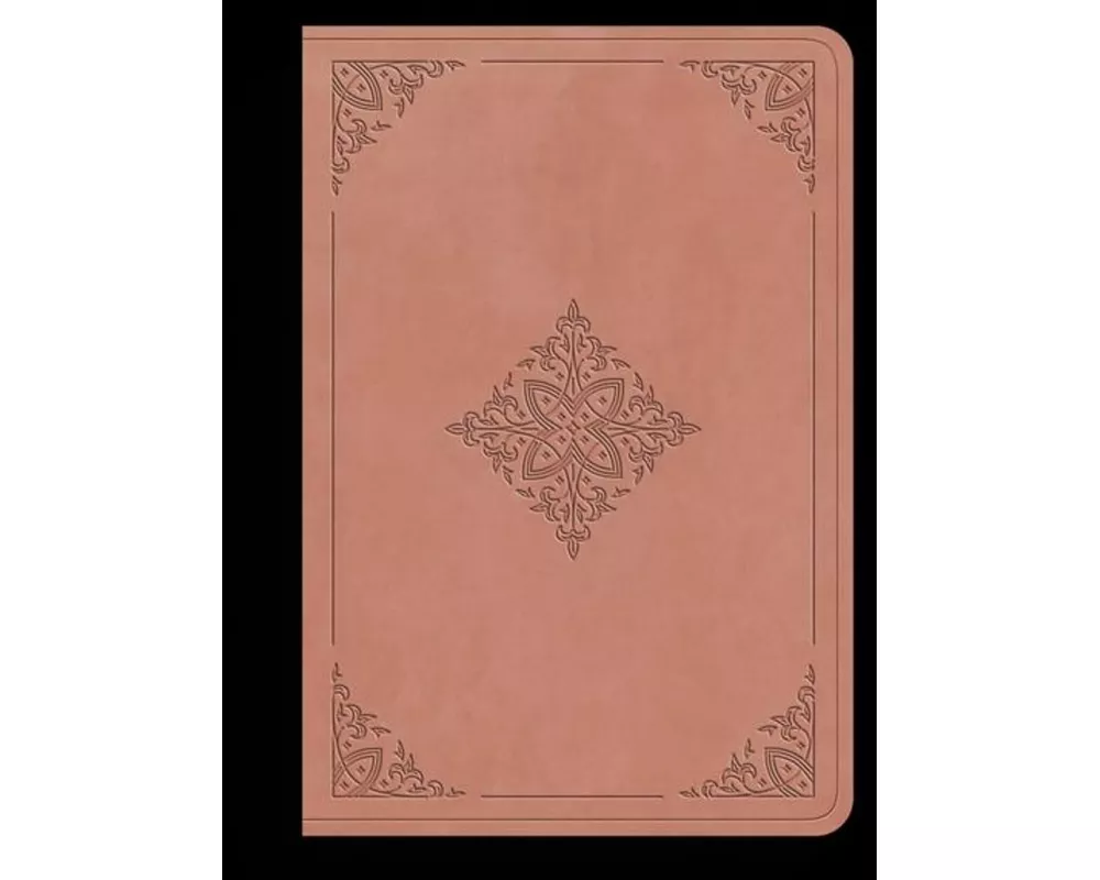 ESV Value Large Print Compact Bible