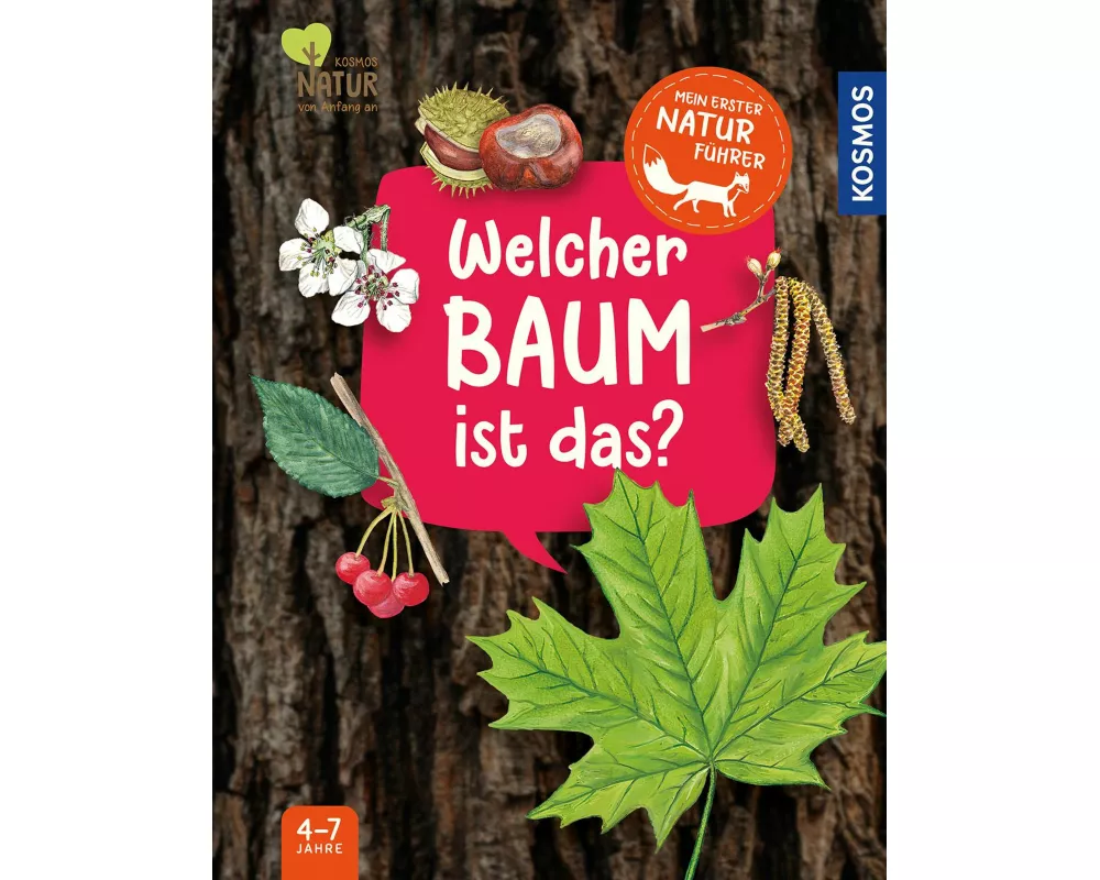 Mein erster Naturführer, Welcher Baum ist das?