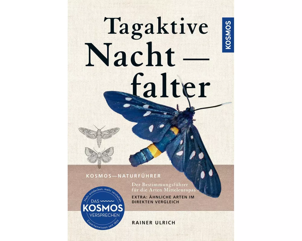 Tagaktive Nachtfalter