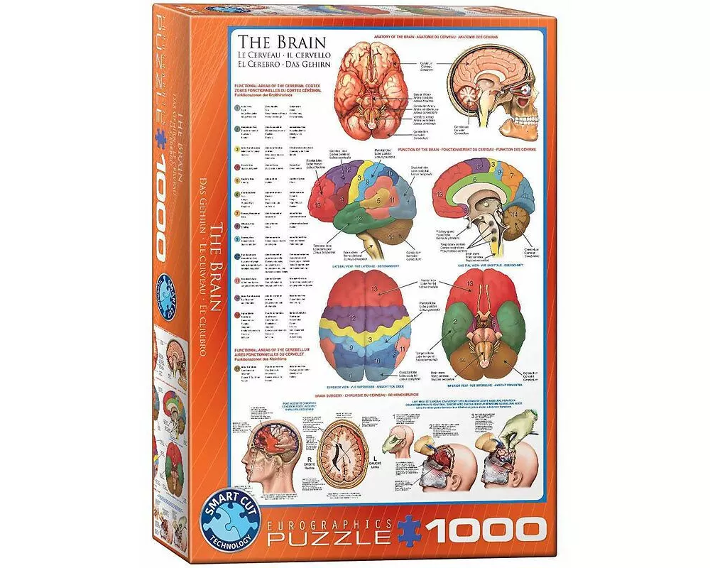 Puzzle 1000 Teile - The Brain