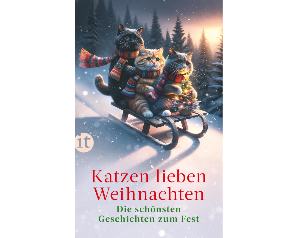 Katzen lieben Weihnachten