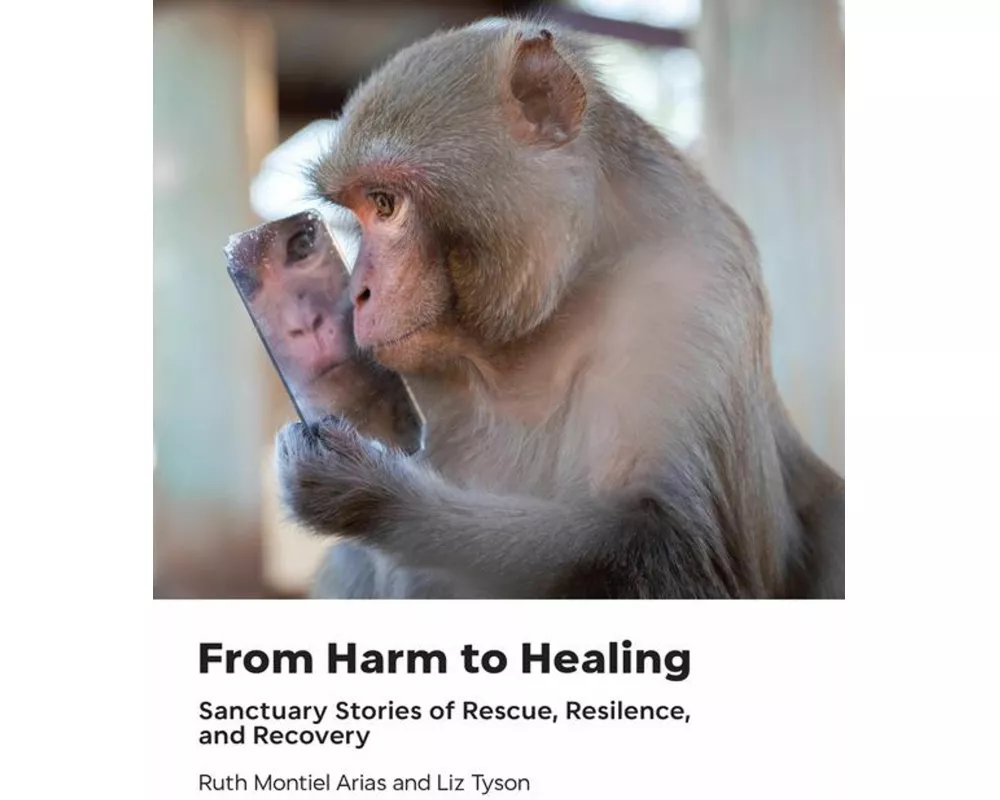 From Harm to Healing