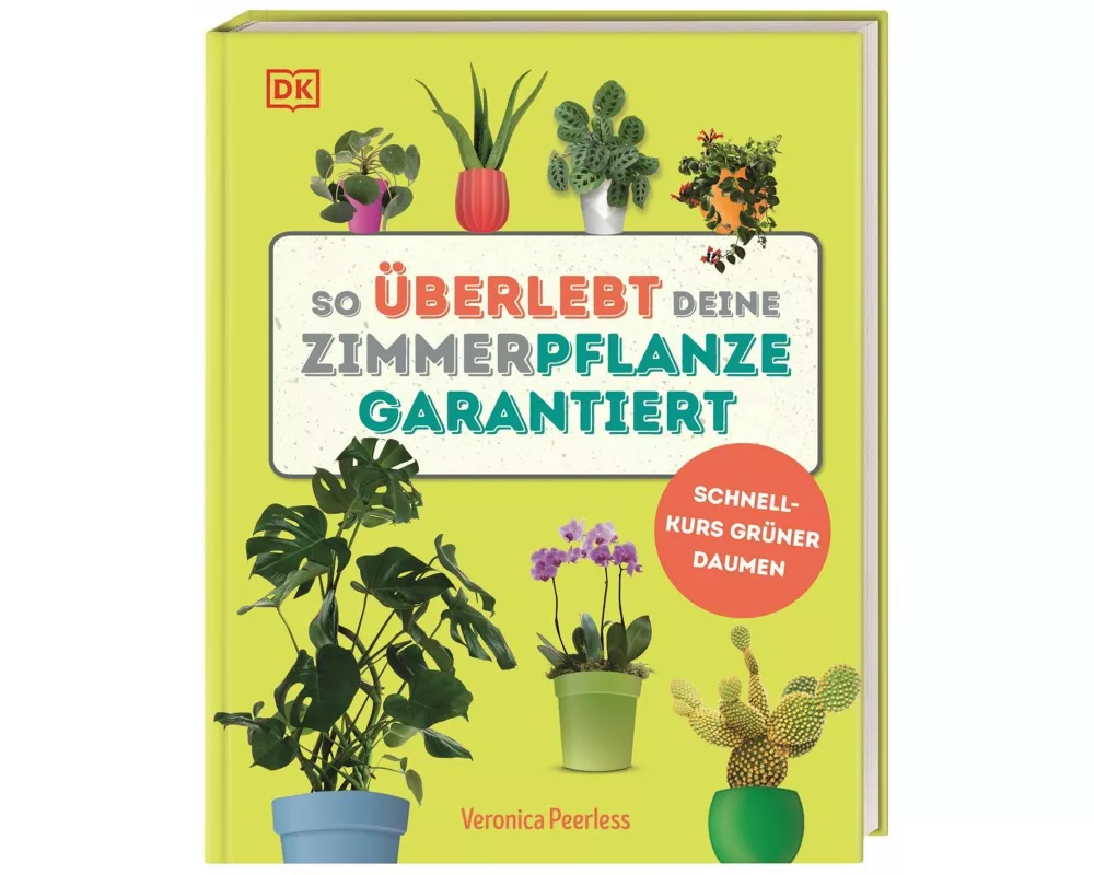 So überlebt deine Zimmerpflanze garantiert