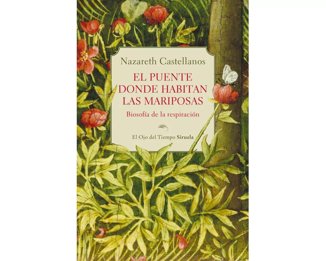 El puente donde habitan las mariposas