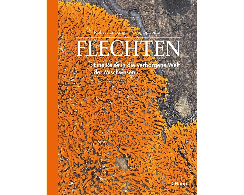 Flechten