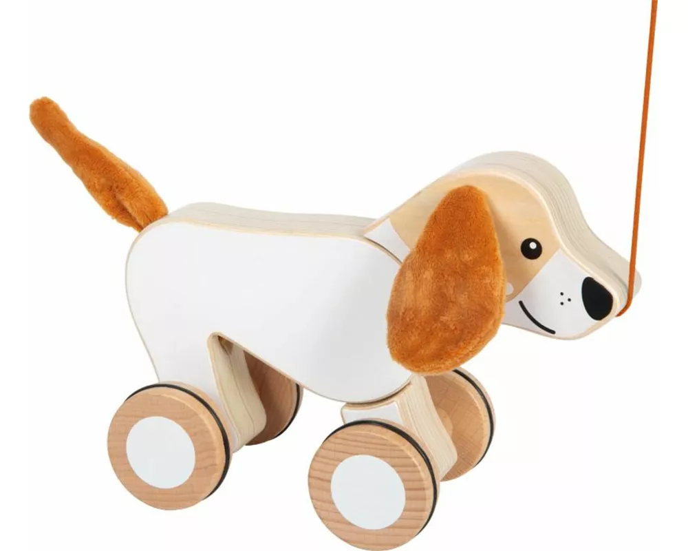 Nachziehtier Hund mit Knisterohren