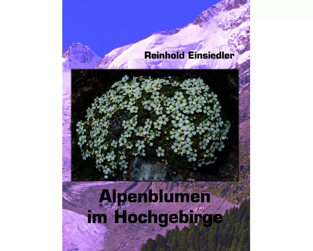 Alpenblumen im Hochgebirge