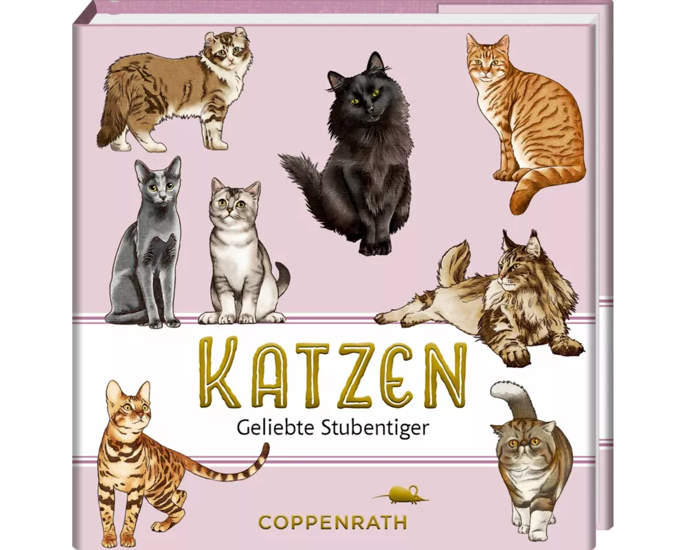 Katzen
