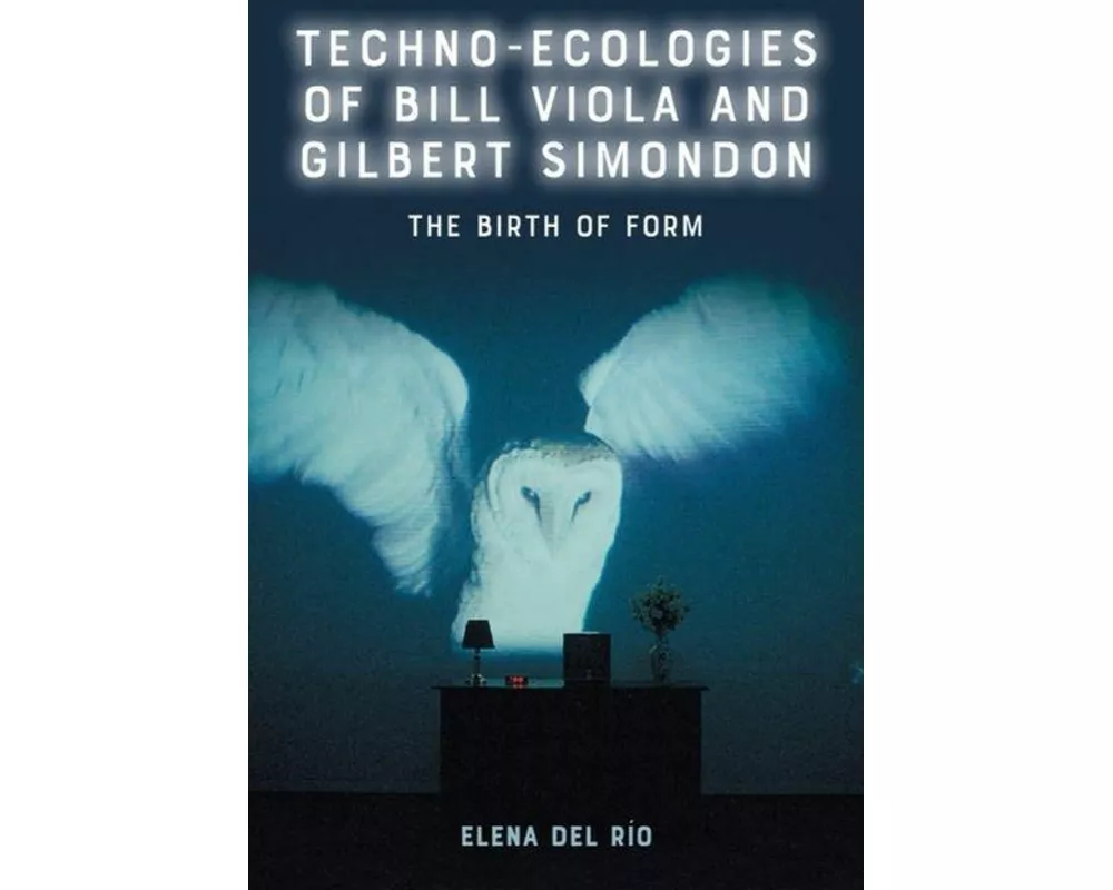 Techno-Ecologies of Bill Viola and Gilbert Simondon