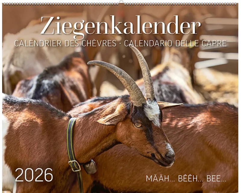 Ziegenkalender / Calendrier des chèvres / Calendario delle capre 2026