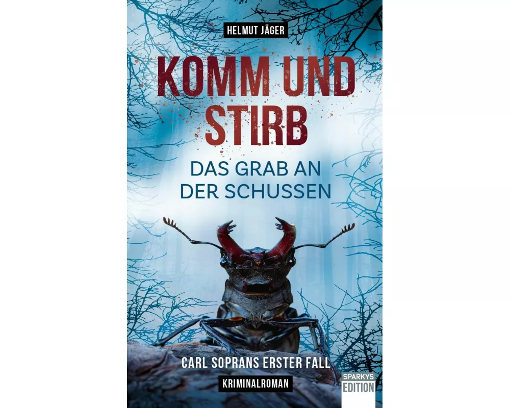Komm und stirb - Das Grab an der Schussen