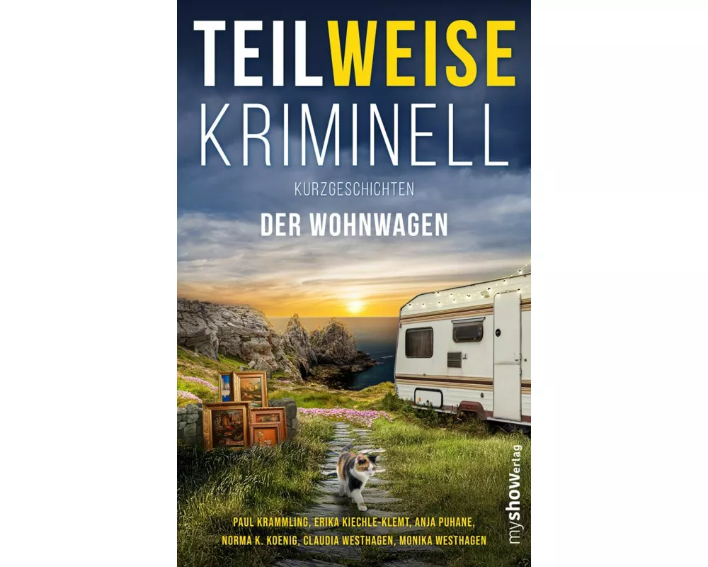 Teilweise Kriminell