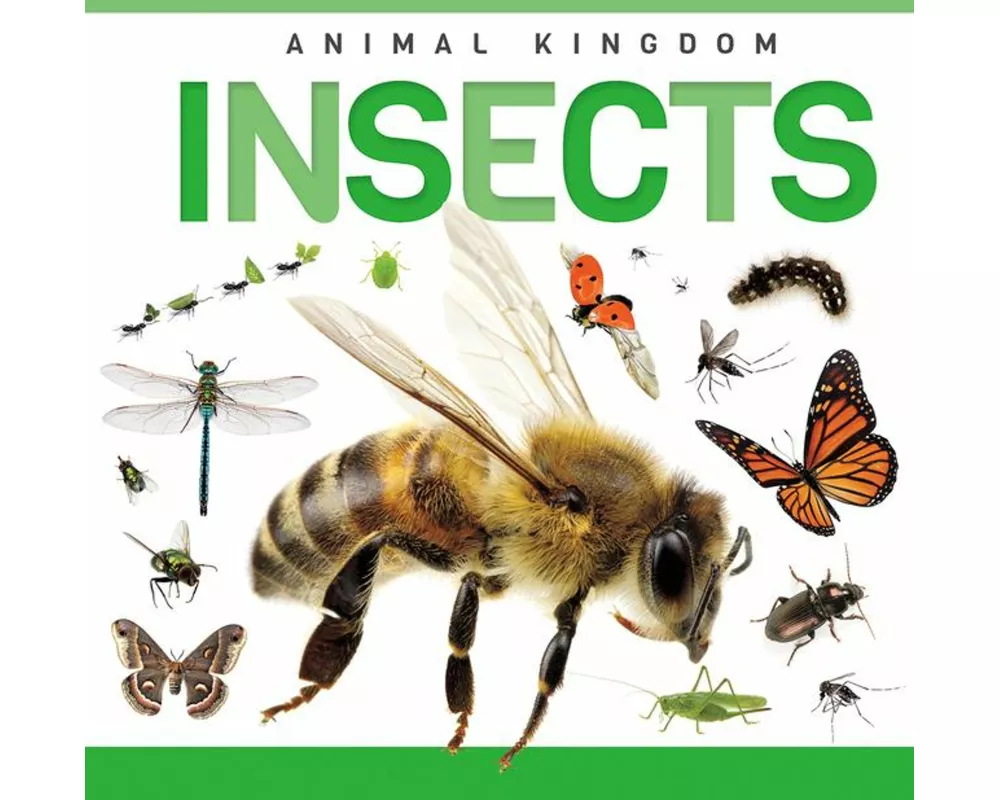 Insects