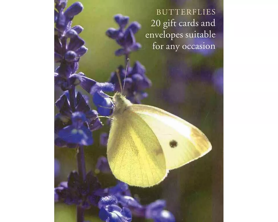 Butterfly Large Card Box