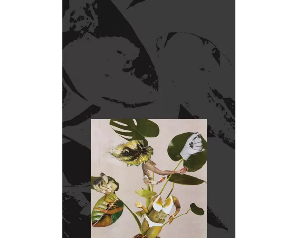 Kandis Williams: A Surface