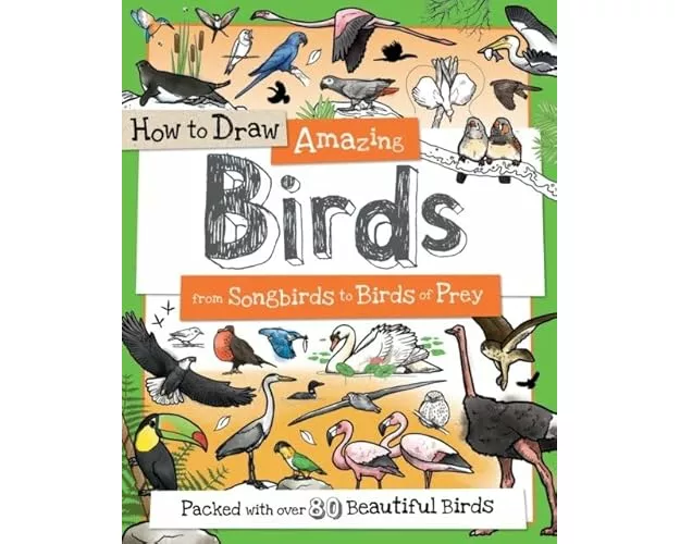 How To Draw Amazing Birds
