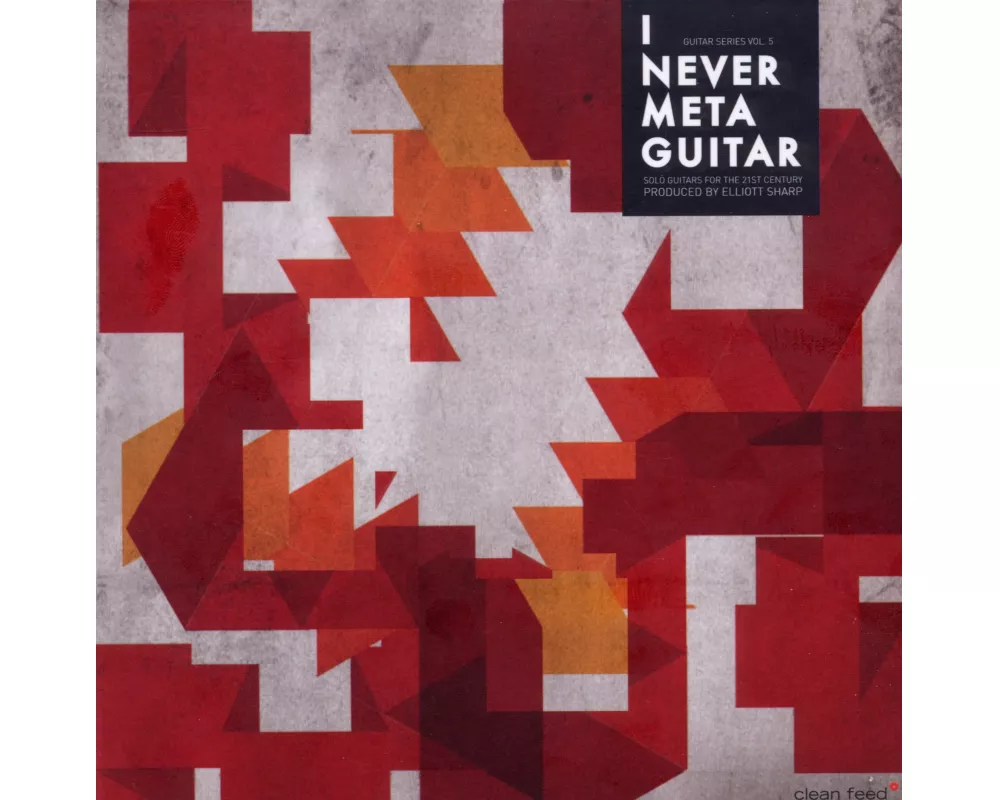 I never metaguitar 1