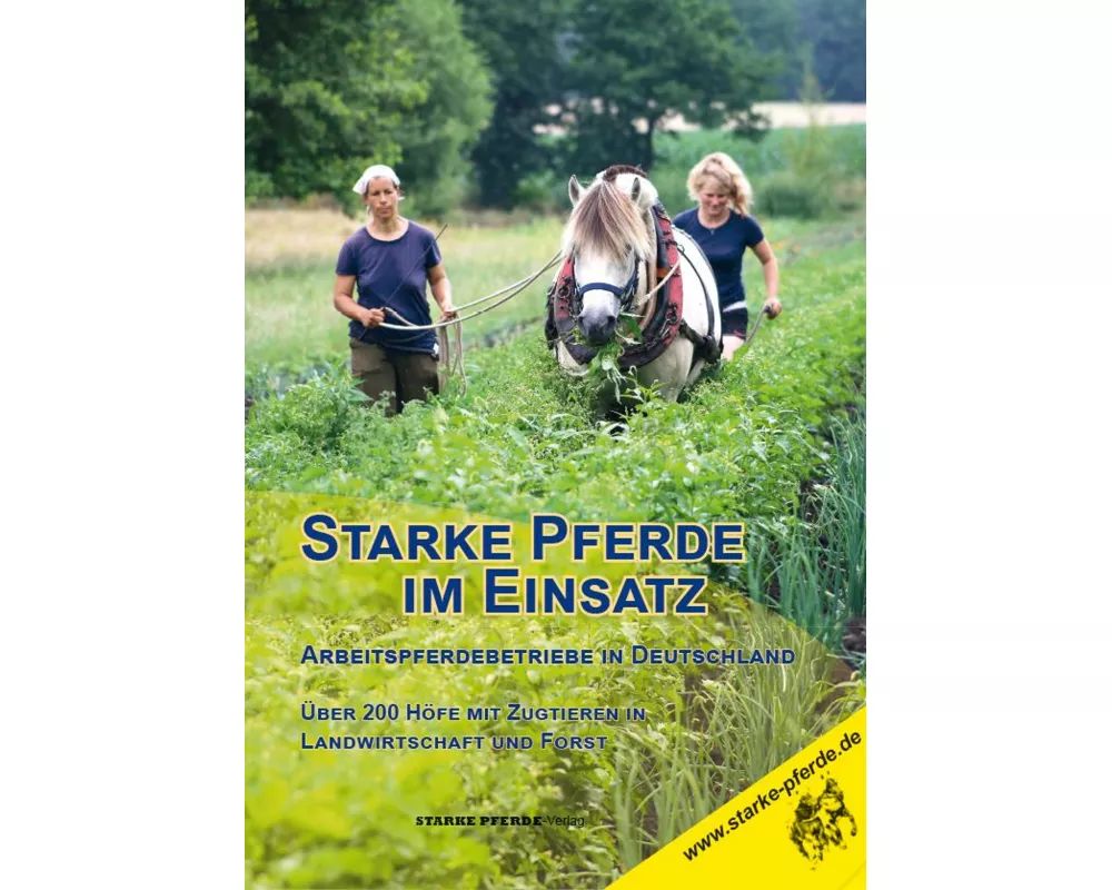 Starke Pferde im Einsatz