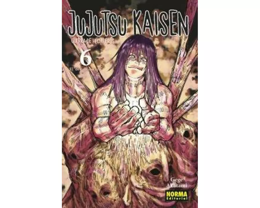Jujutsu Kaisen 06
