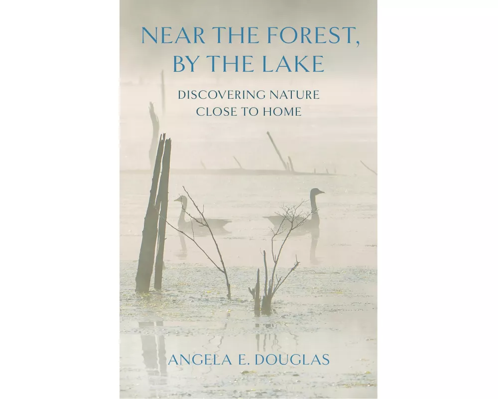 Near the Forest, By the Lake