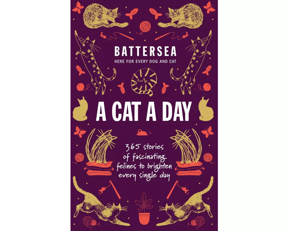 Battersea Dogs and Cats Home - A Cat a Day
