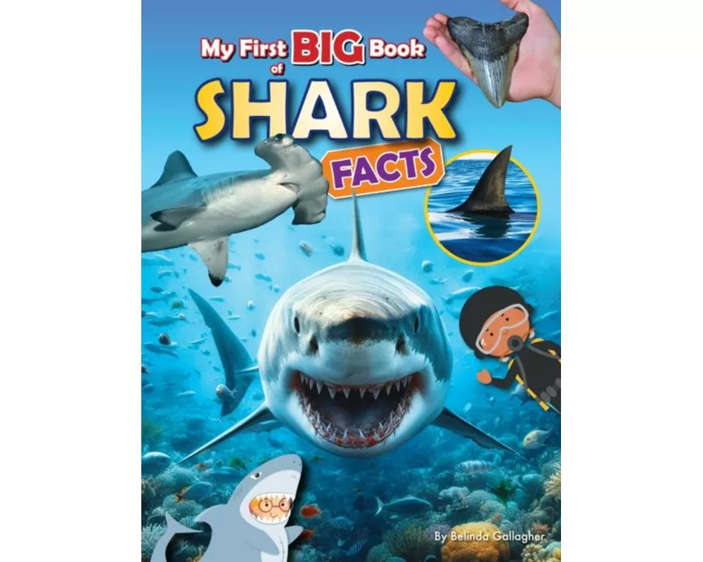 My First BIG book of Shark Facts