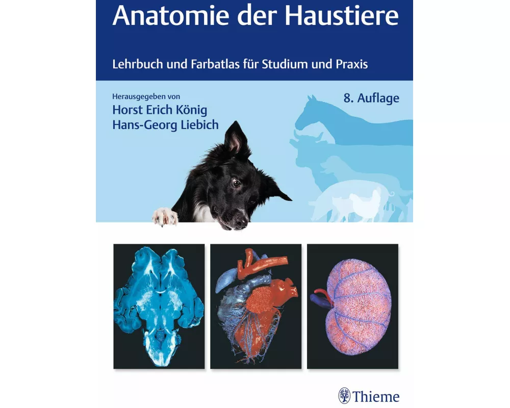 Anatomie der Haustiere
