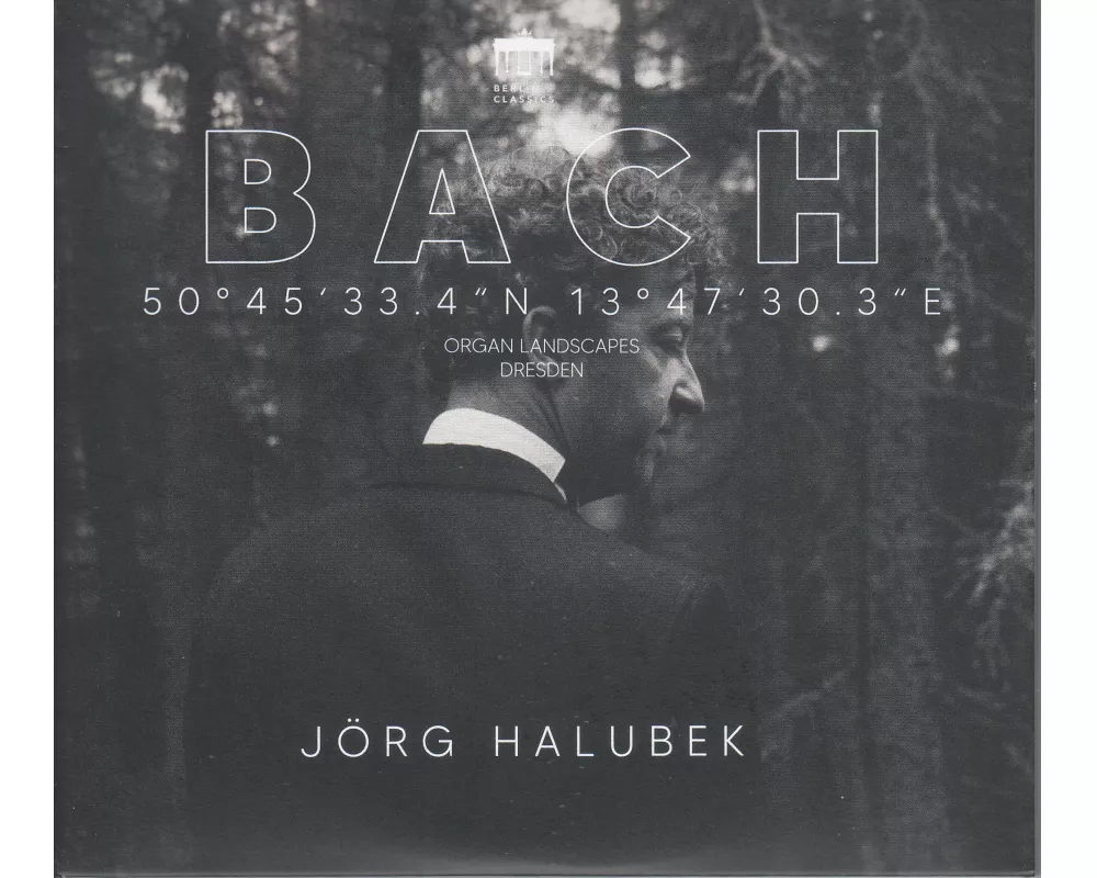 Bach:Organ Landscapes VIII (Steinberg,Geising)